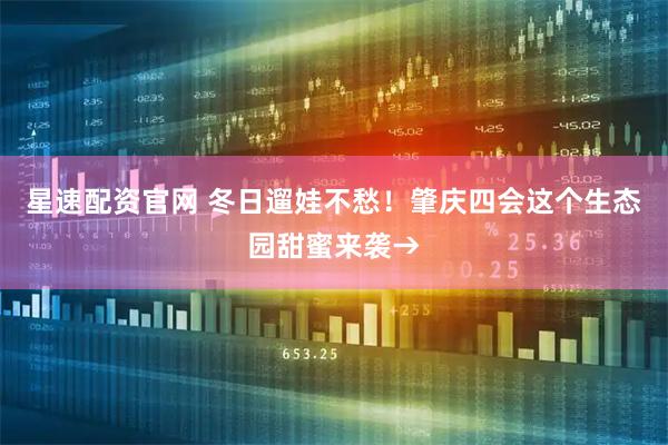 星速配资官网 冬日遛娃不愁！肇庆四会这个生态园甜蜜来袭→