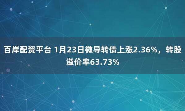 百岸配资平台 1月23日微导转债上涨2.36%，转股溢价率63.73%